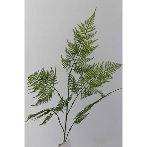 RAMO SPRINGERI X5 CM.113 VERDE